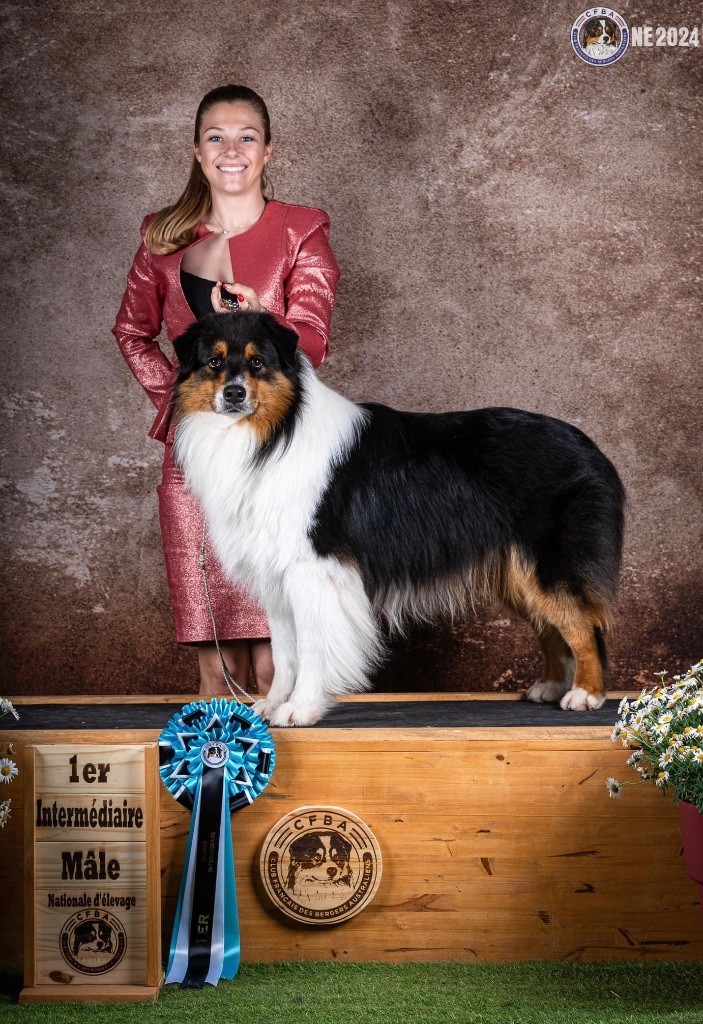 CH. Victorious king simba de La Ferme Daudergnies