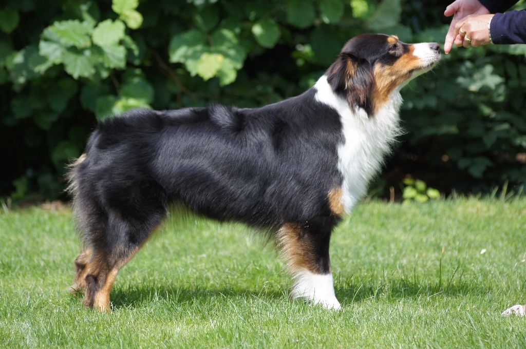 I'feel good du Chemin de la Lune aux Reves